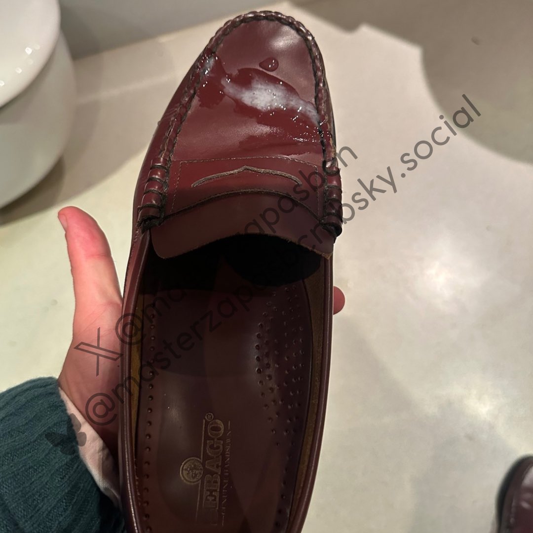 masterzapasbcn's tweet photo. Un mierda me pone caliente y el tren me aburre mucho. Lo limpias cerdo
https://t.co/Hl2nDqUYFX
#cashmaster #master #alphamaster #sub #moneyslave #findom #cashslave #slave #paypig https://t.co/5ZdrkOLzoG