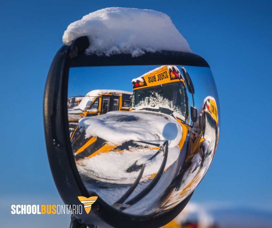 School Bus Ontario tweet media