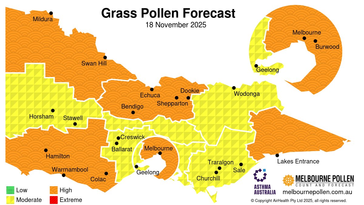 Melbourne Pollen Count and Forecast tweet media