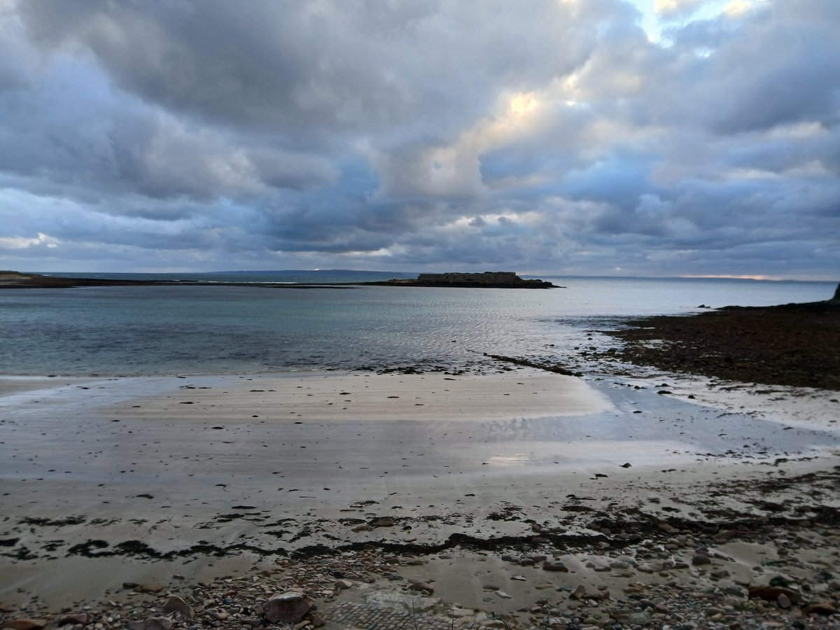 Nicolas Jouault 🏴‍☠️🇯🇪🤿🦞🌊 tweet media