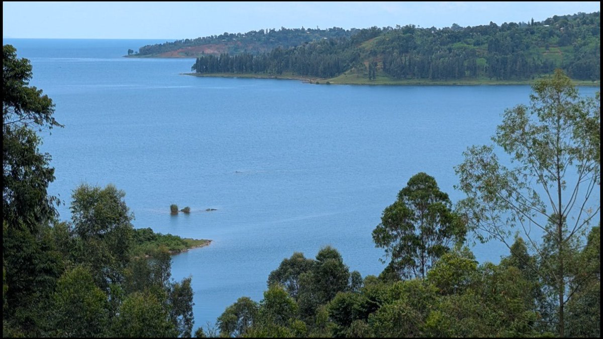 Venite Ruandam Videre. Dans la région inter lacustre de l'Afrique de Grands Lacs, venez _y voir et un pays pittoresque à visiter et habiter. Le pays des milles collines et Mille vallées au coeur du Berceau de l'humanité. Le #Rwanda d' #Afrique youtu.be/yhLofS9U8Eo?si…