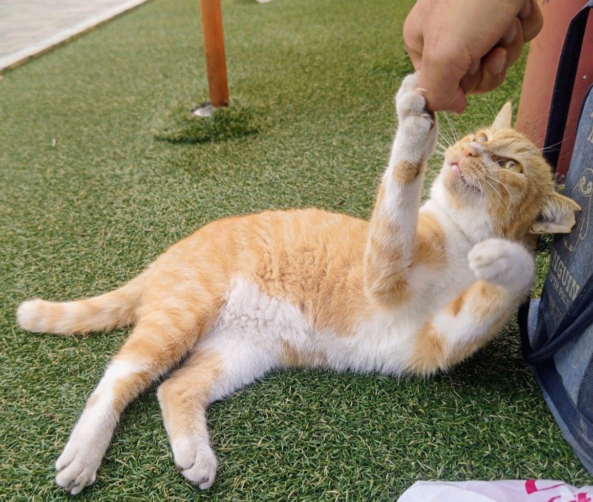 CROWSOFGANGSTA's tweet image. 無理もサボりも上手くやれよ🤜🤛