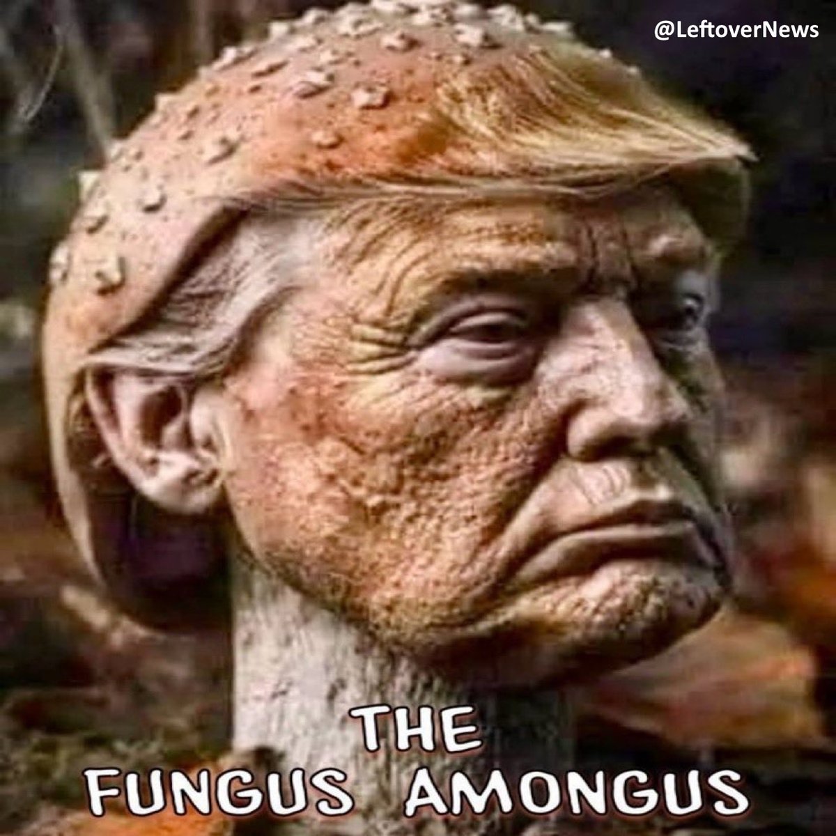 LeftoverNews's tweet photo. Shroomy @RealDonaldTrump is the #FungusAmongus https://t.co/0ysIyyY1lb