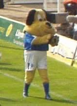 Olibcfc's tweet image. Proper!!