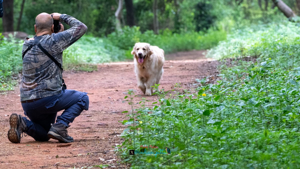 indian_pitta's tweet image. Photographers, show us your most recent shots (can be anything) 📸