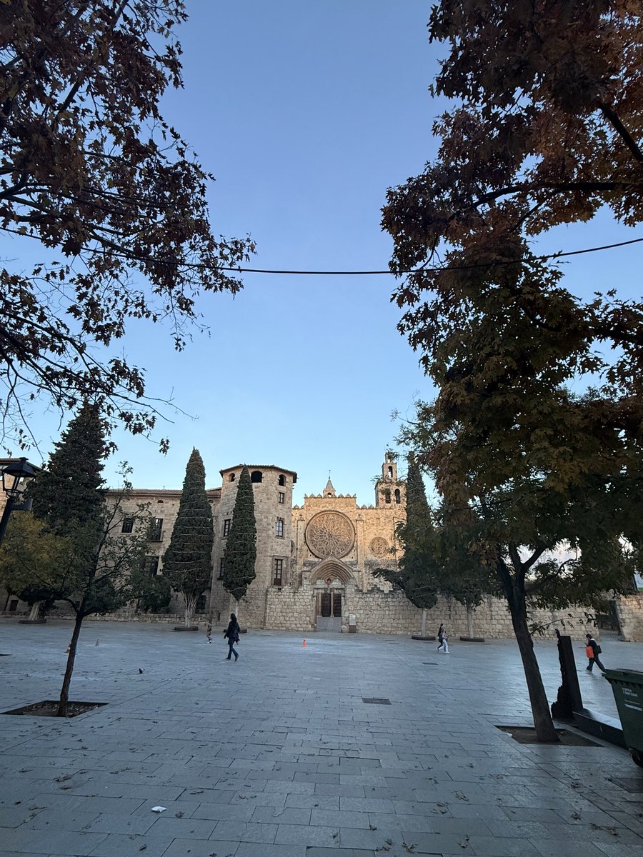 l’estiuet de Sant Martí mai falla..