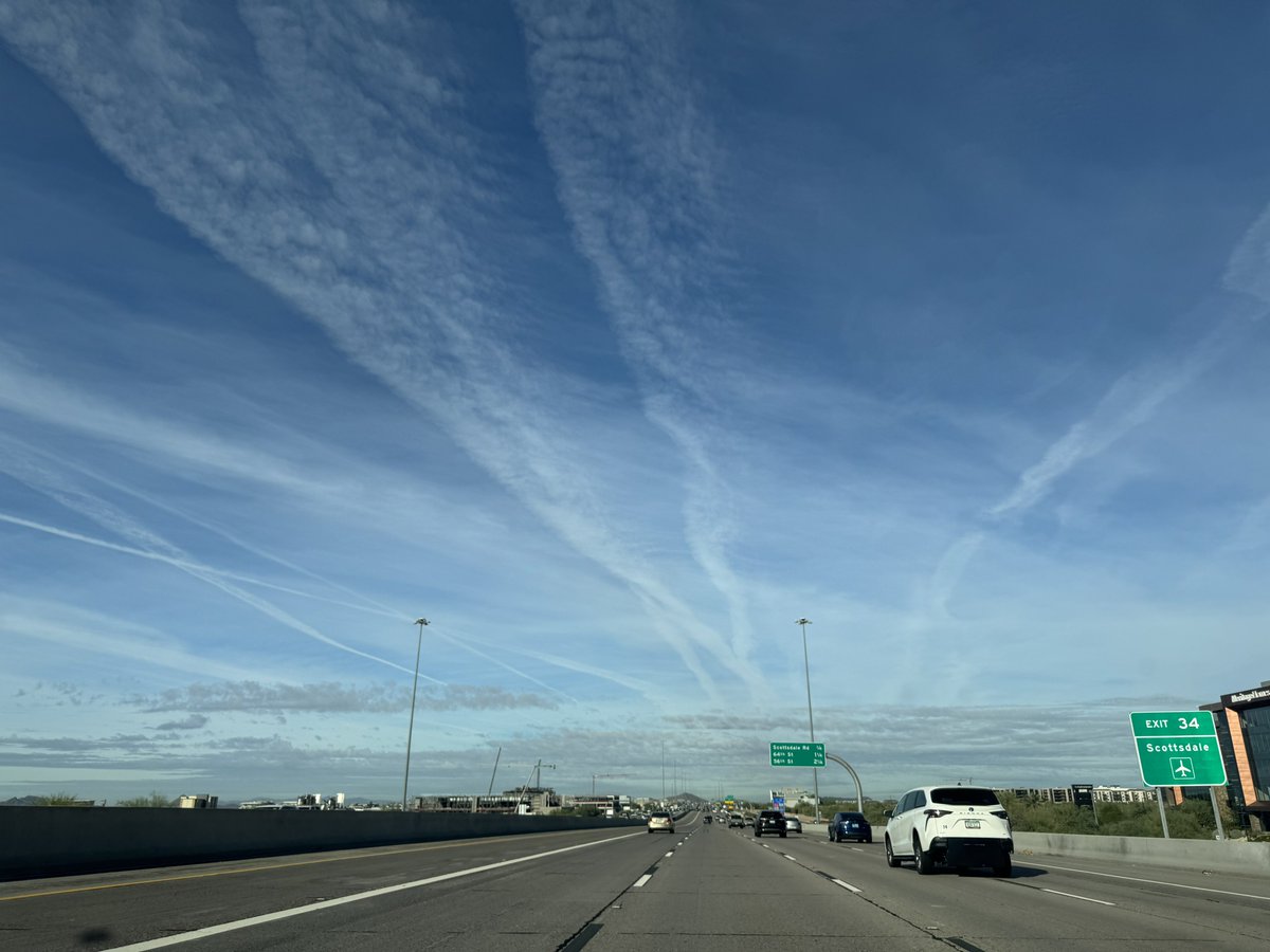 Signs that the government had reopened. 

even saw some birds