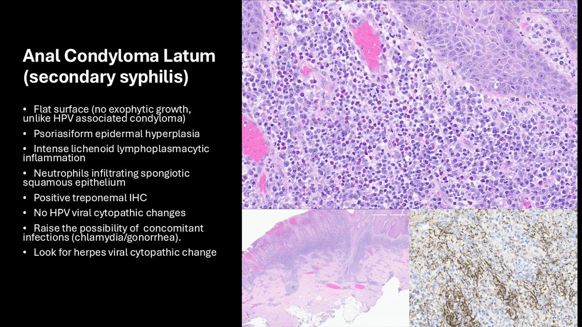 The Joint Pathology Center (JPC) tweet media