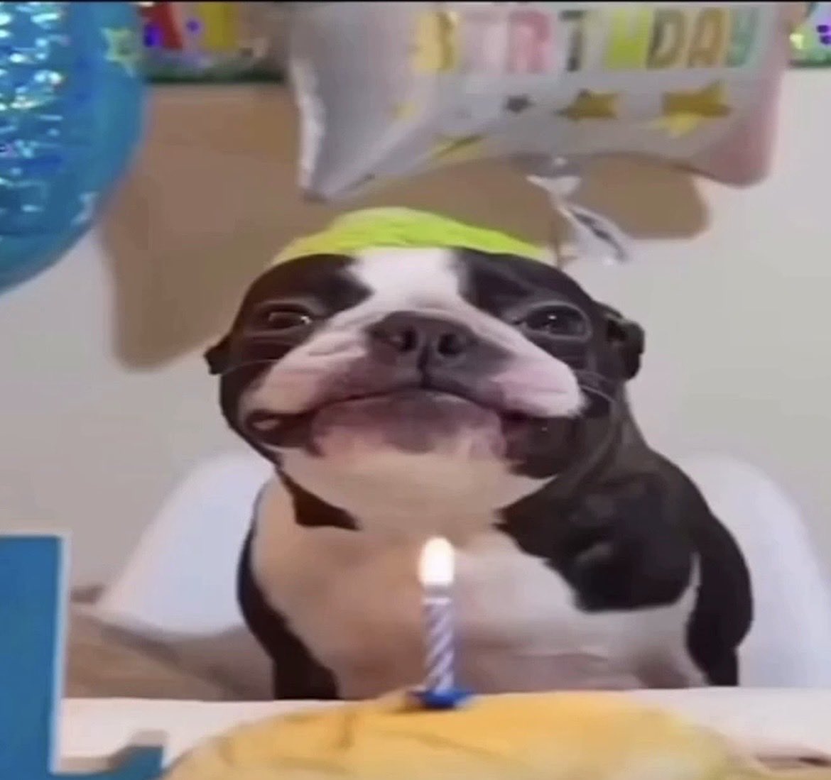 lucretta tweet media