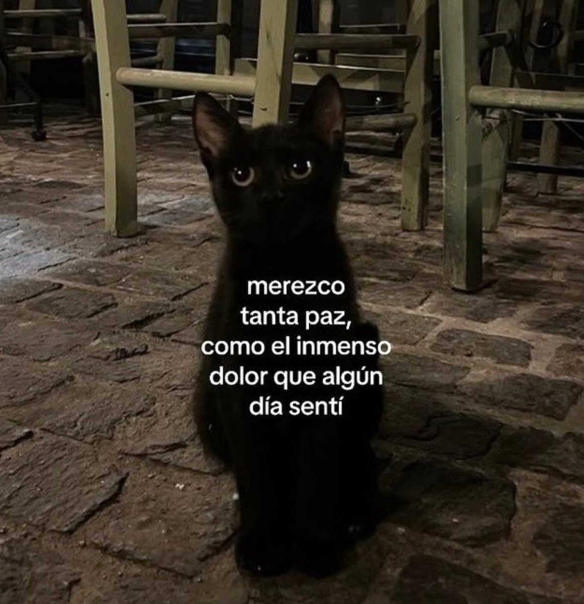 ramé (@escritosrame) on Twitter photo 