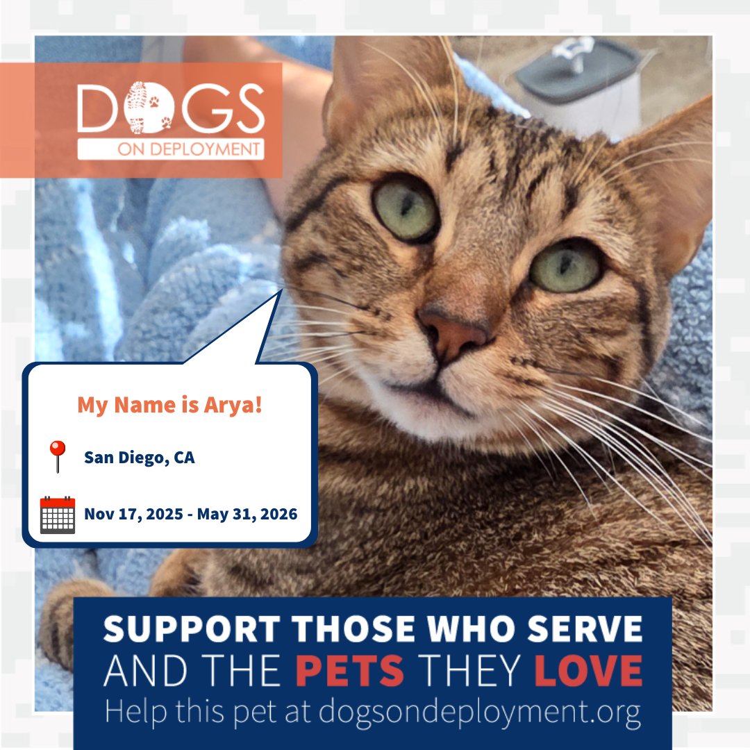 Dogs on Deployment tweet media