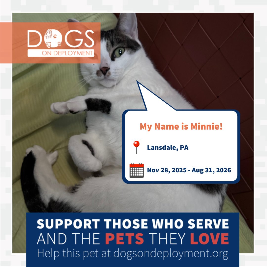 Dogs on Deployment tweet media