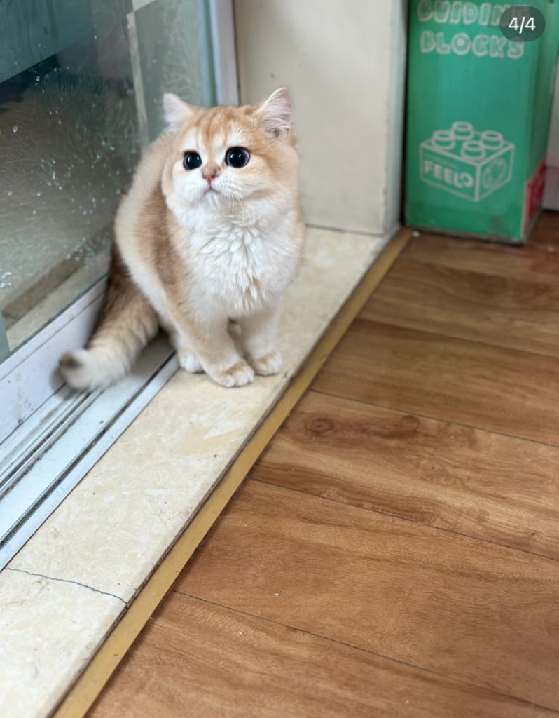 HomeDaddy tweet media