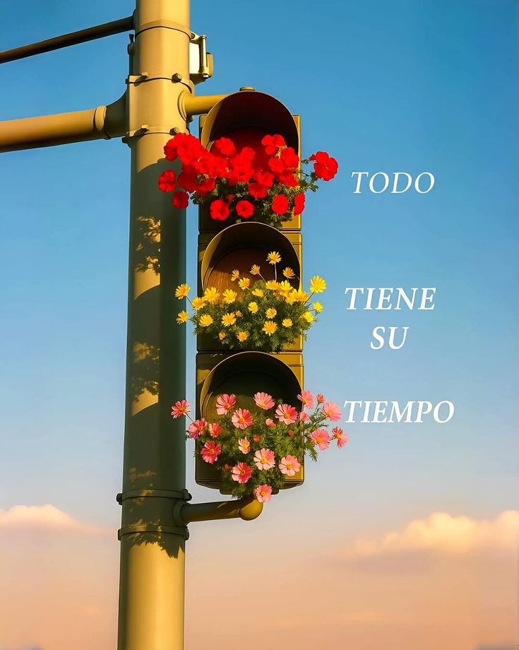 ramé (@escritosrame) on Twitter photo 