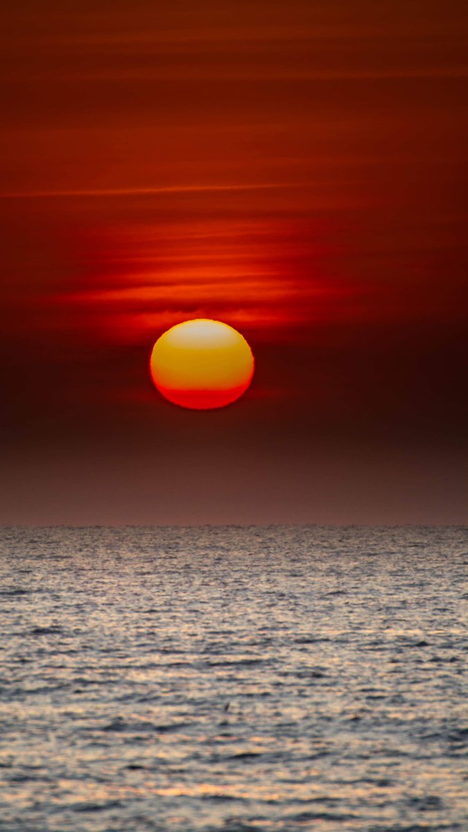 Mohit Mehta tweet media