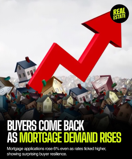 Derek  Cook tweet media