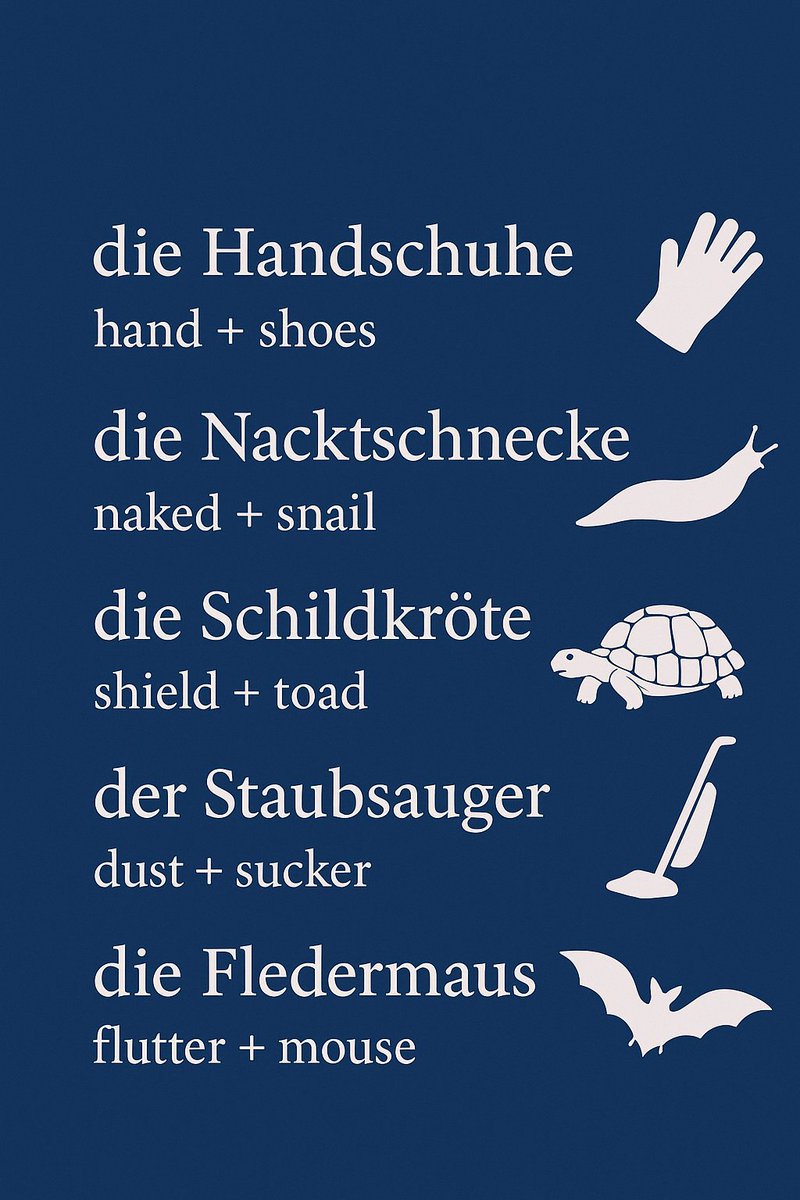 BritGerAssoc's tweet image. #WhyLearnGerman? Because German words often explain themselves. Many long words are built from smaller parts you already know.

Just think of Staubsauger (“dust-sucker” = hoover). This structure makes new vocab easy to decode. What are your favourite examples?