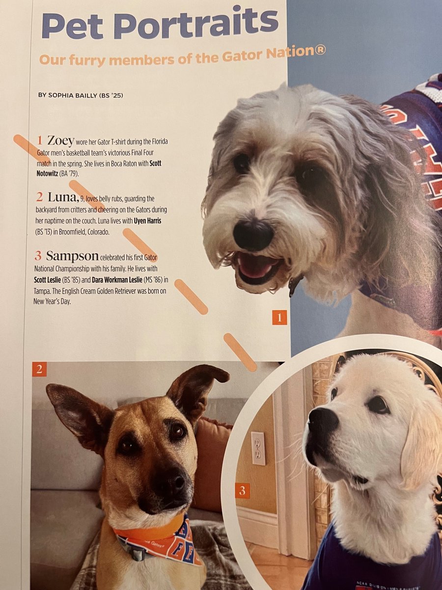 NotowitzMS's tweet image. Check out Zoey wearing her Gator T-shirt during the Florida Gator's men's basketball Final Four win in the spring. Go Gators!