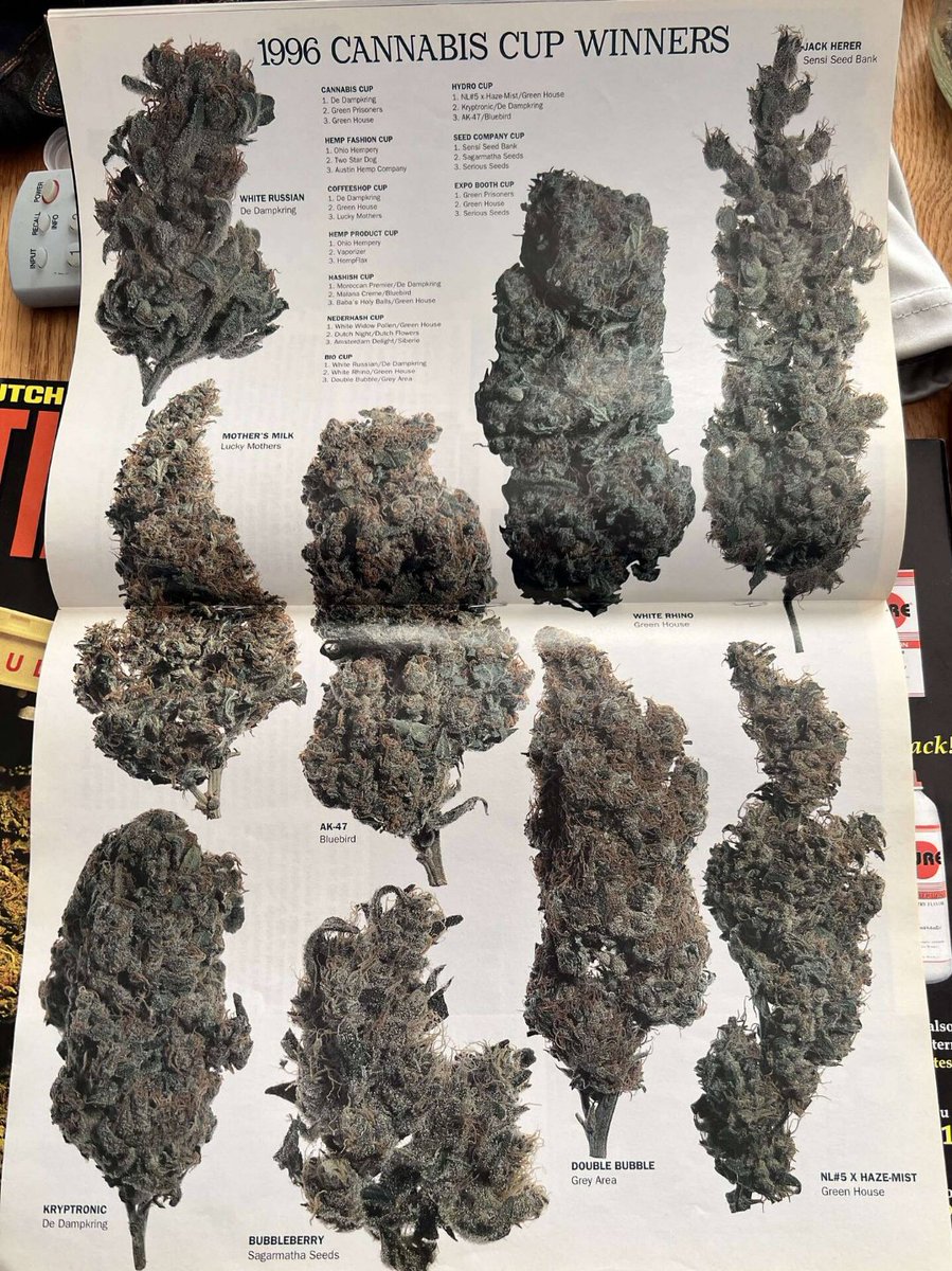 LocalsOnly_007's tweet image. Perspective is everything here are some pictures from high times magazine. We've come along f'kn way. First pic 1980's  weed centerfold. Second pic 1996 WINNERS CIRCLE...👀