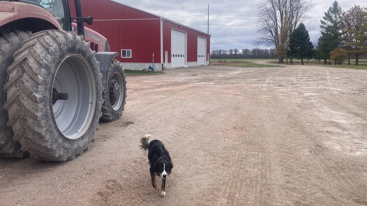 Lawrence McLachlan 🇨🇦 tweet media