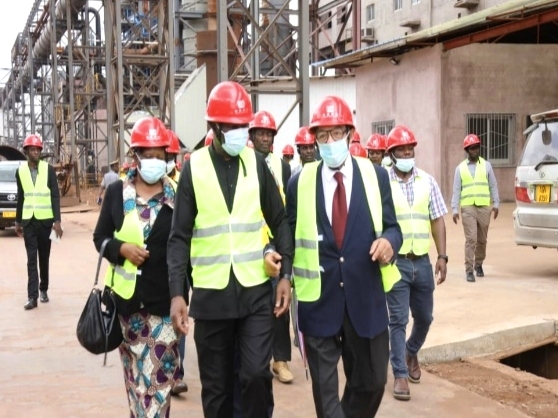 Dinson Iron & Steel Company Zimbabwe (Disco) tweet media