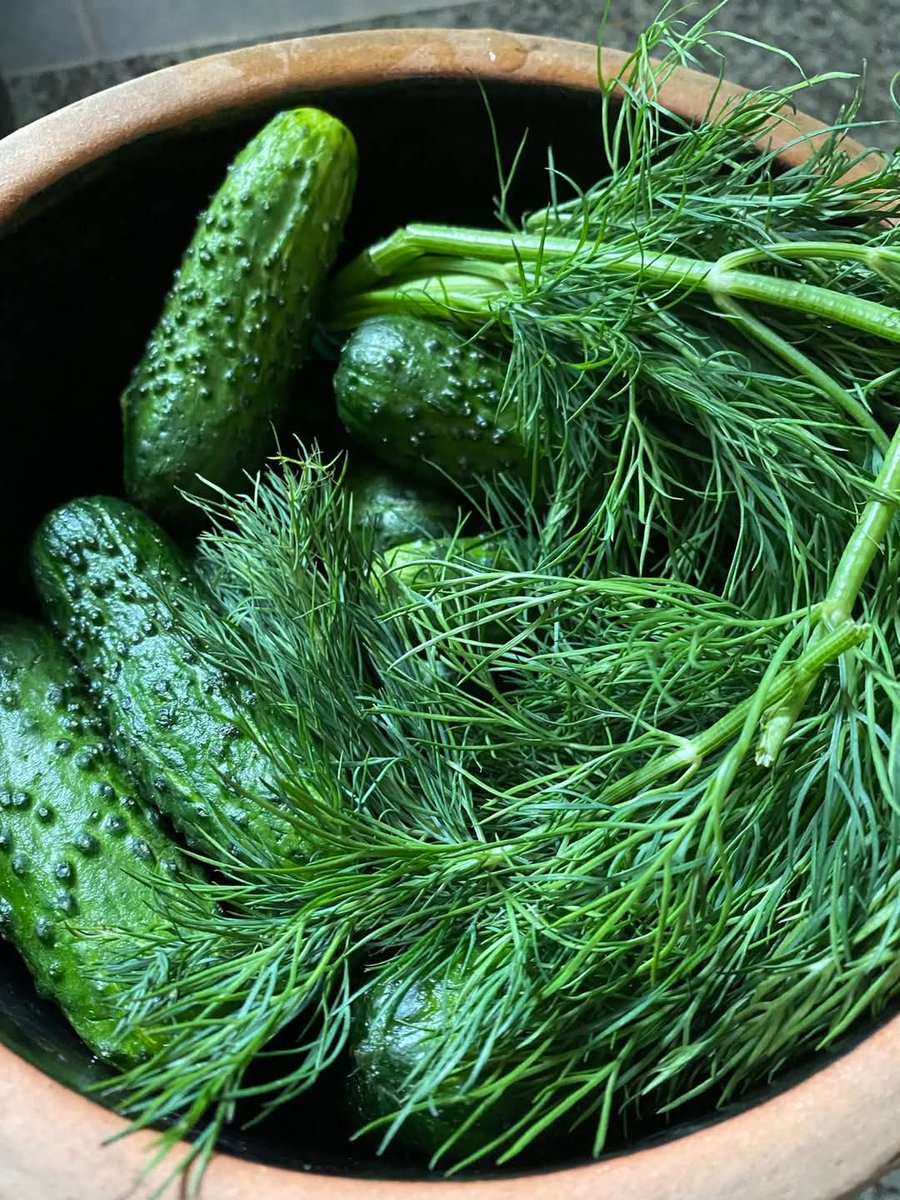 Lepsze małosolne czy kiszone? 💚💚