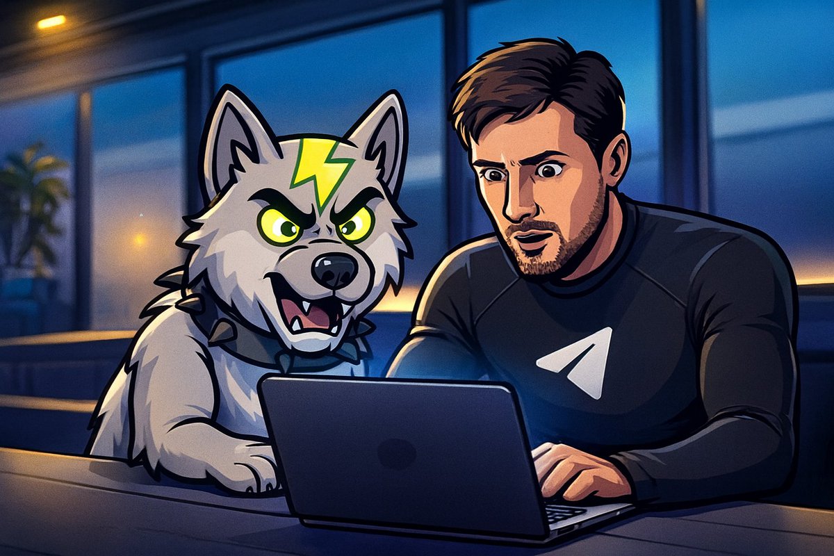 What are they doing?⚡️