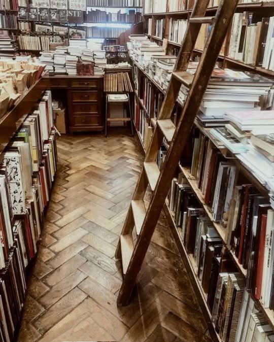 Bury your nose in books, not in other people’s affairs a piece of wisdom that echoes from antiquity. Even Socrates reproached idle curiosity, saying:
Σωκράτης ἔλεγεν· "μὴ πολυπραγμόνει· βιβλίοις δὲ τὸν νοῦν ἔχε."
Socrates used to say: "do not meddle in other people’s