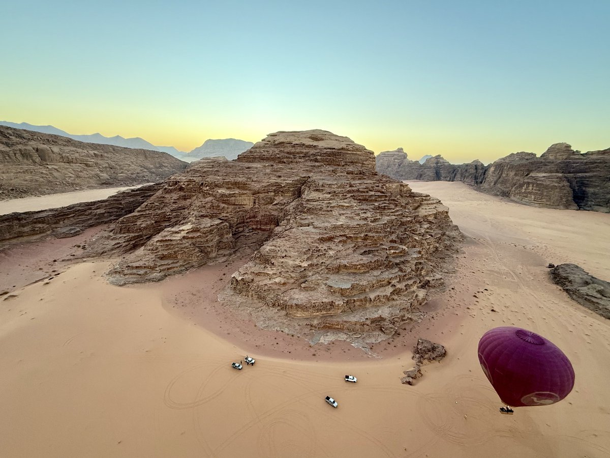 Untamed Borders tweet media