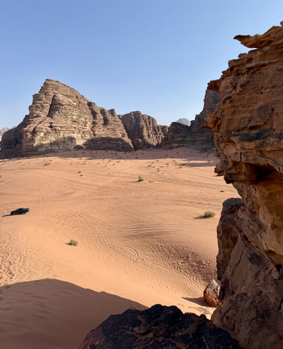 Untamed Borders tweet media