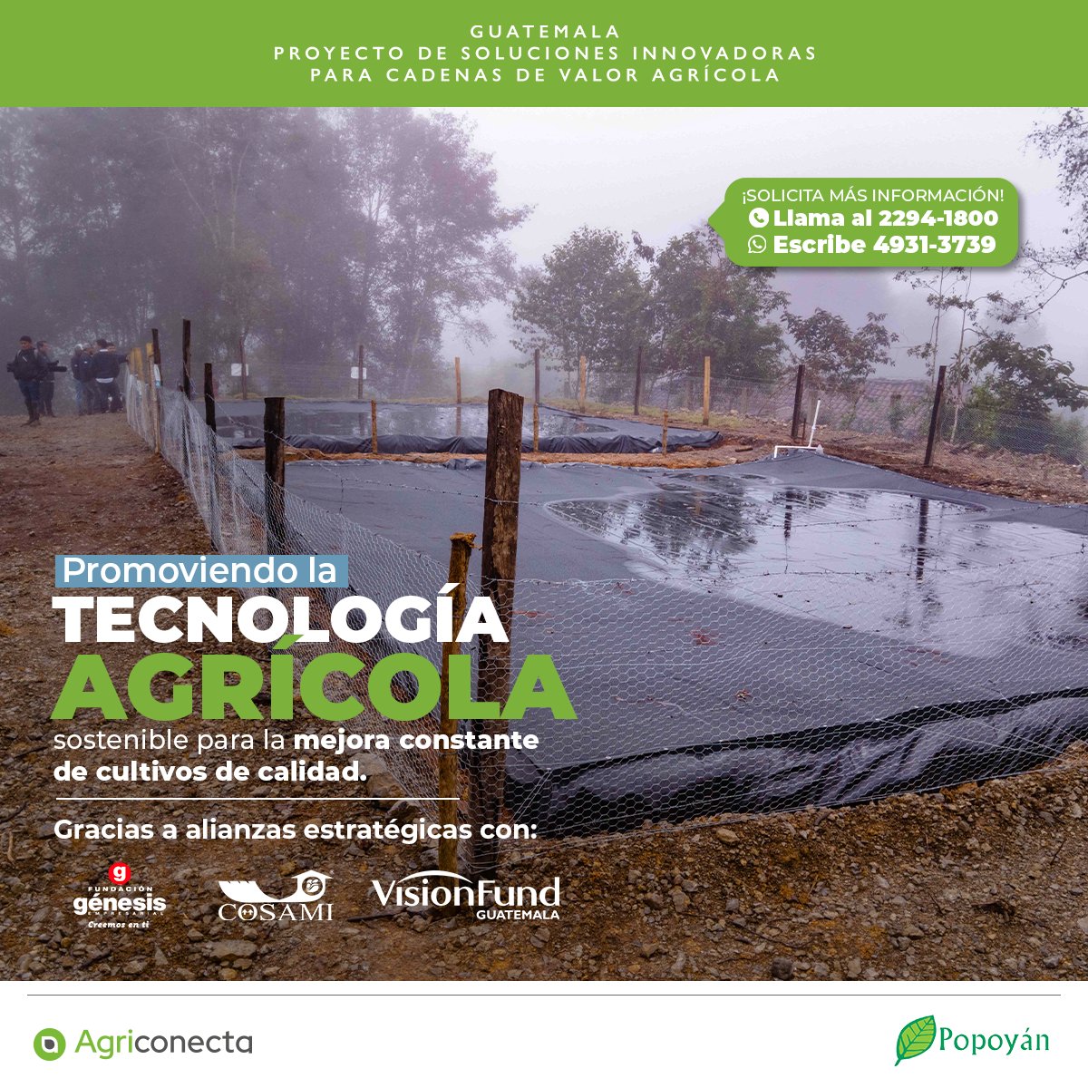 En PRO-INNOVA contamos con tecnología agrícola como reservorios de agua que permiten mantener la calidad de distintos cultivos incluso en época seca.
<a href="/popoyan_gt/">Popoyán</a>  <a href="/usembassyguate/">US Embassy Guatemala</a>
