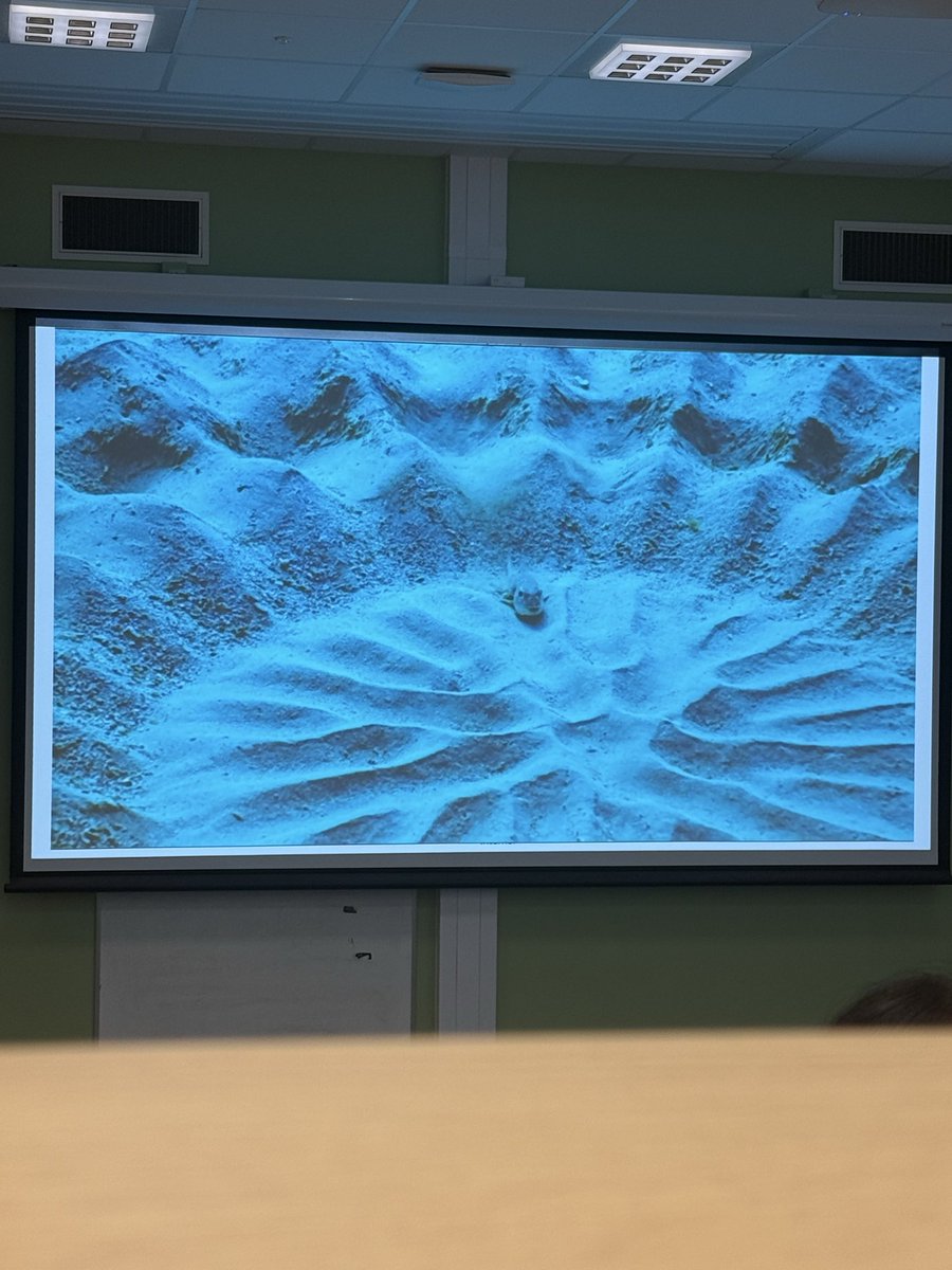 0LDIESSTATI0N's tweet photo. MY LECTURER PLAYED THIS VIDEO IN LECTURE TODAY I WAS FLABBERGASTED BUT NOVODY ELSE KNEW RHE SIGNIFICANCE OF IT 💔 https://t.co/DtQurA3YAM