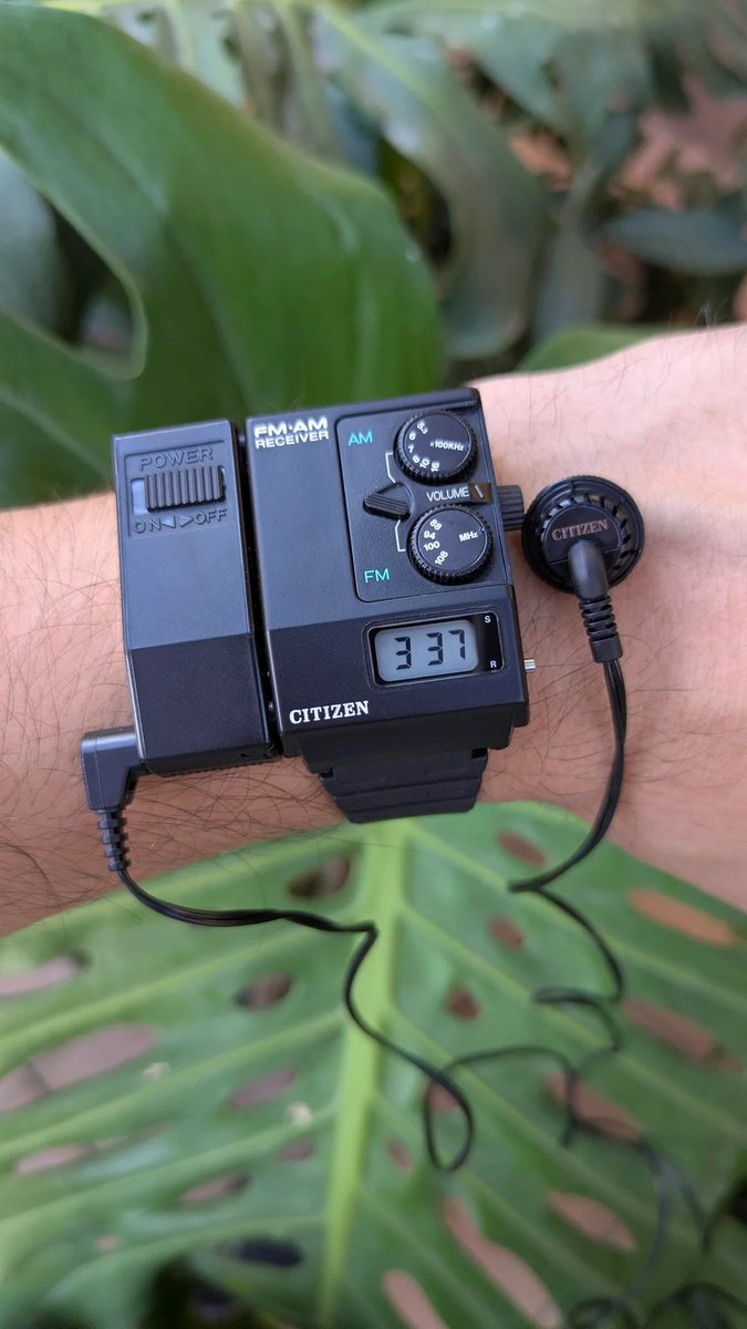 Citizen D031 AM/FM Radiowatch - aka 'Soundwhich'