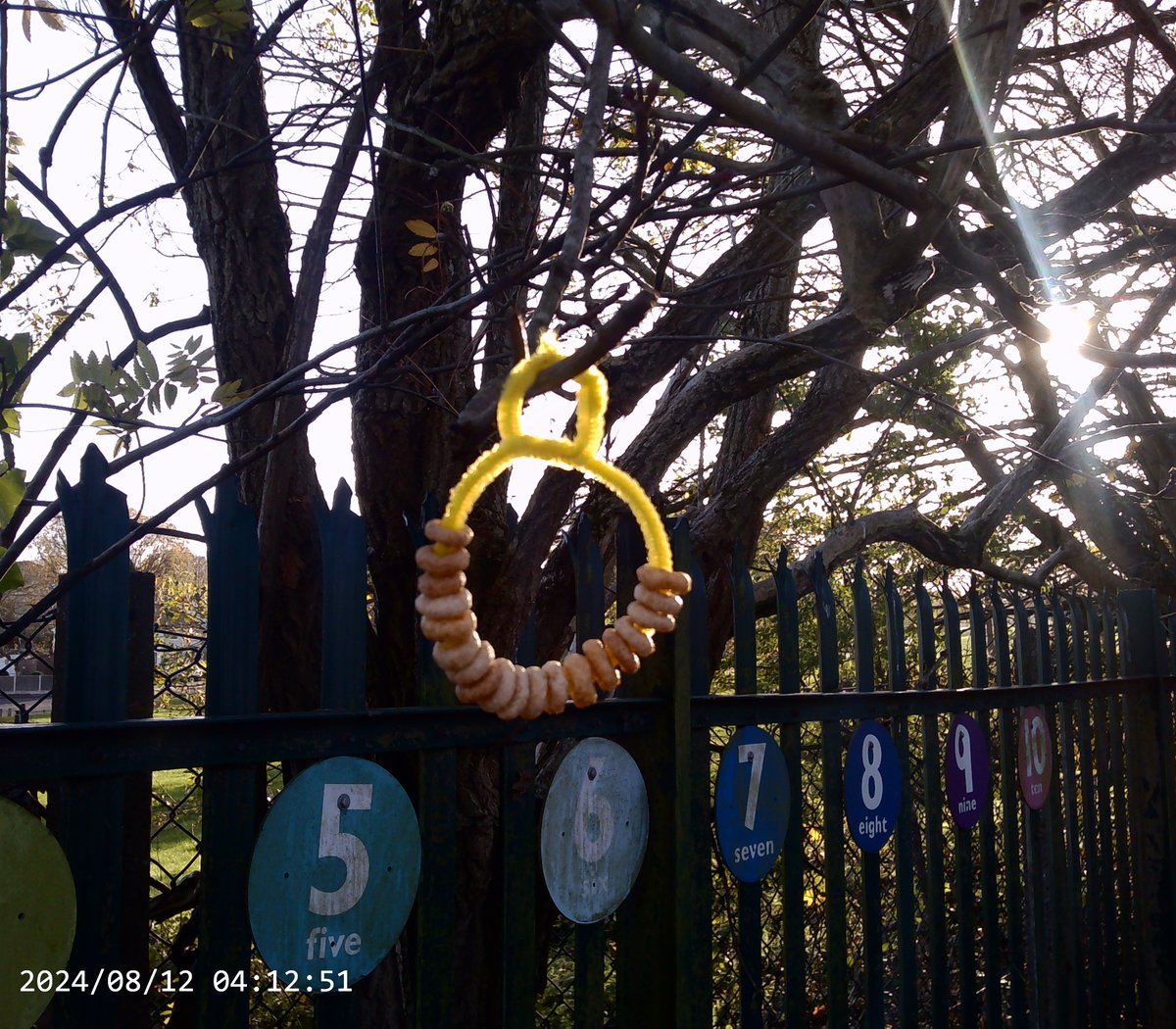 We also made bird feeders using pipe cleaners and cheerios.