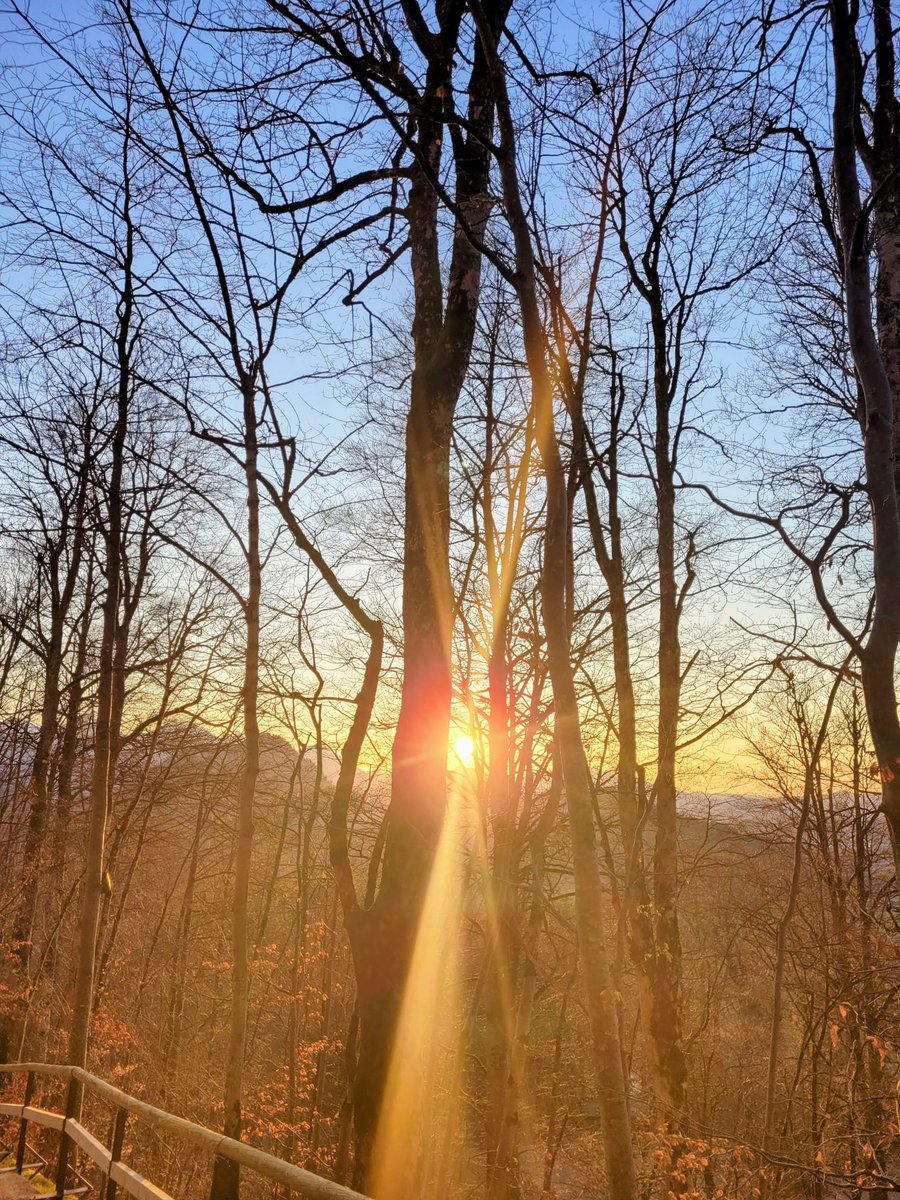 DailyPicTheme2's tweet image. Saturday, 22nd November

Today's Daily Picture Theme is 'Warmth'

RT or reply with your OWN photo

Tomorrow's theme will be 'Q/X/Y/Z/Anything'

#DailyPictureTheme 

You can still feel the #warmth from a setting sun