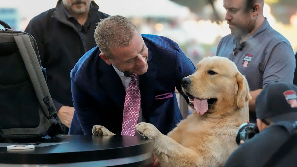 TV announcers named for Tennessee-Florida football game volswire.usatoday.com/story/sports/c…