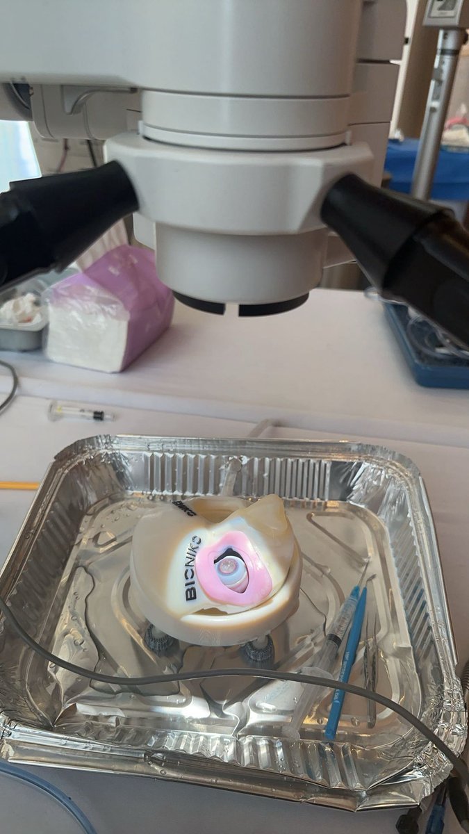 Attending the conference, presenting our poster with the most amazing mentor.. Dr. Seham Alhemaidi, joining hands-on workshops and courses, and meeting so many wonderful people.. all of this in a magical weekend in Riyadh!
 
Many thanks to #SOS2025