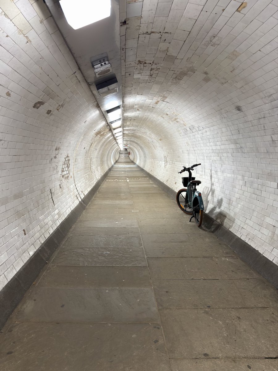 Bunchuk's tweet image. I have to say, @MomentProCamera is incredible. It’s brought me back to photography, after a long hiatus.