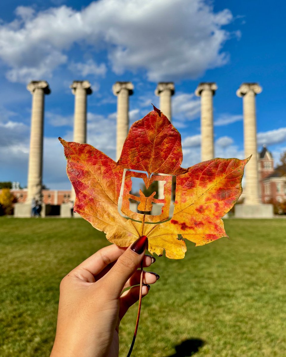 Mizzou's tweet image. Fall leaves and iconic, ionic #Mizzou views 🍁
