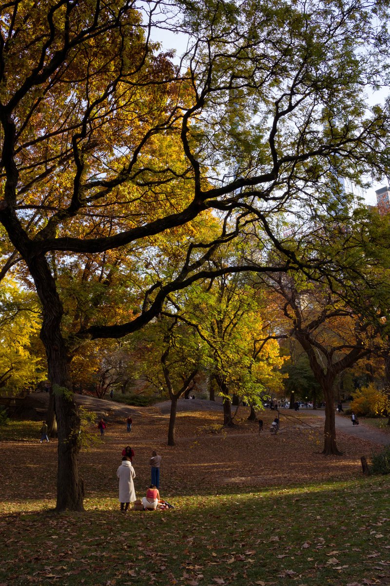 freemanjiangg's tweet image. sf may have many things, but it will never have four seasons