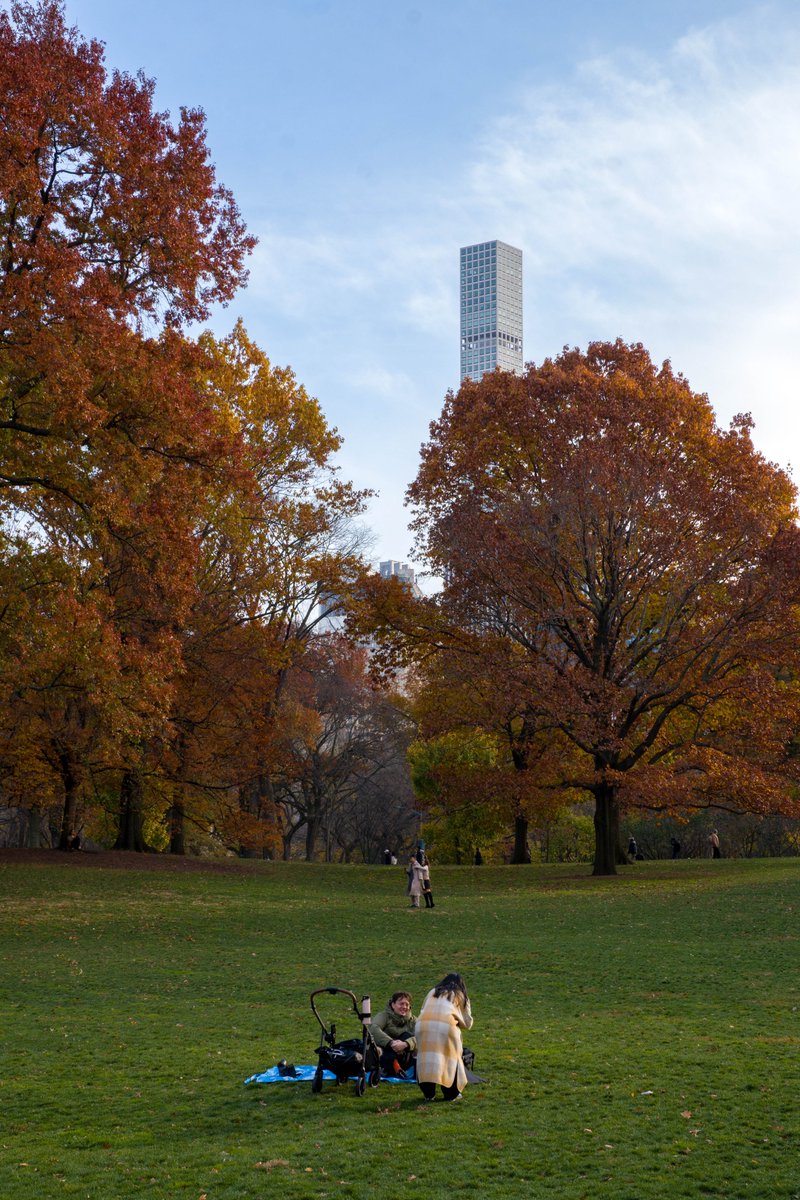 freemanjiangg's tweet image. sf may have many things, but it will never have four seasons