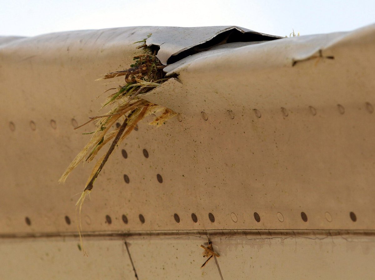 umutcagrisari's tweet image. I received calls from many Somali friends today. All of them said they were embarrassed by Abdi’s behaviour. I told them I was well aware that people like him do not represent Somalia. A senior colleague from Villa Somalia even said that trying to smear Türkiye through THY is not…