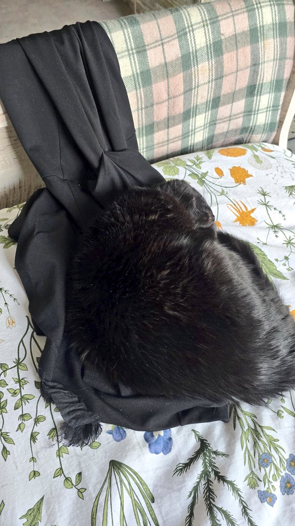 Laid my dress down for a few minutes to do my hair, and little miss decided I am not allowed to wear it today.

She is a bit of a jerk, but she is such a cute little jerk that she can have it. In fact, she can have everything. ❤️🥰