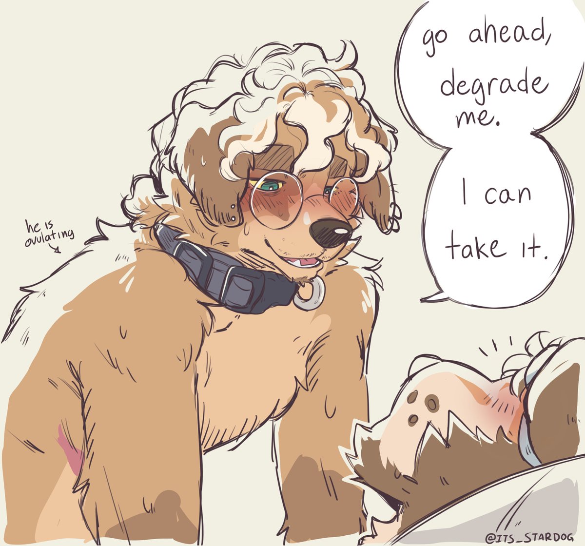 stardog ☕🏳️‍⚧️ (yamper's version) tweet media