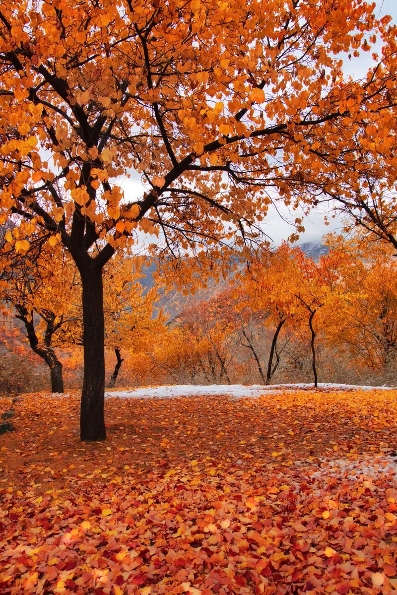 جب تمہارے پاس استطاعت ہو، وہ سہارا بنو جو کبھی تمہیں خود چاہیے تھا۔
کبھی زندگی ہمیں آزمائشوں سے اس لیے گزارتی ہے کہ ہم دوسروں کے درد کو سمجھ سکیں۔
جو زخم تم نے تنہائی میں سہے، وہ تمہیں دوسروں کے زخموں پر مرہم رکھنے کے قابل بناتے ہیں۔
جو آنسو تم نے چھپ کر بہائے، وہ تمہیں