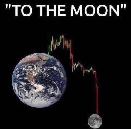 天国草 (@8128z) on Twitter photo 