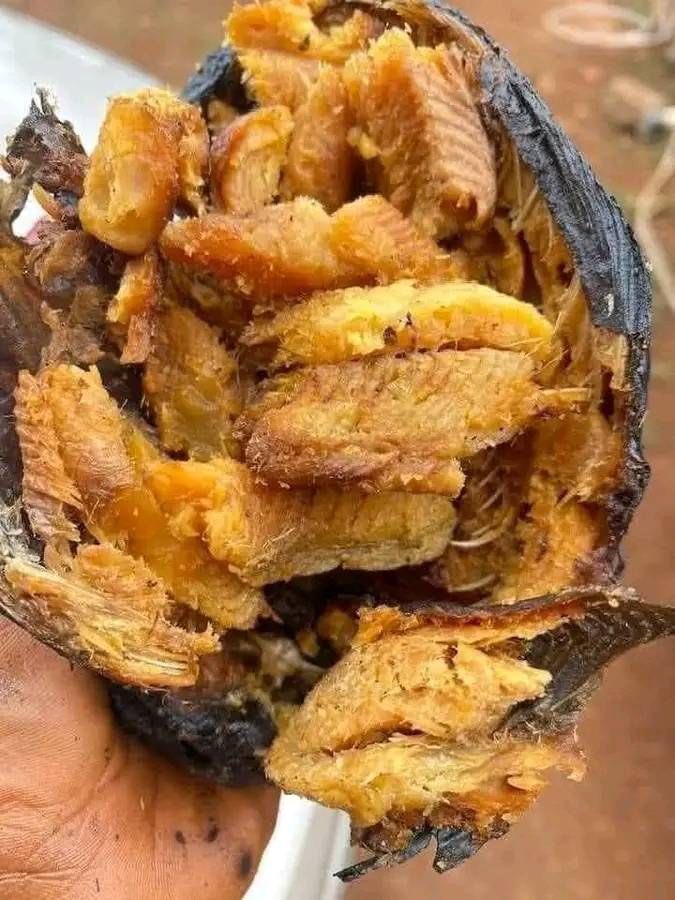 DaddyTwinzz's tweet image. As an Igbo 

What food/soup comes to your mind seeing this fish?

Biko no forget to retweet 🙏🏽