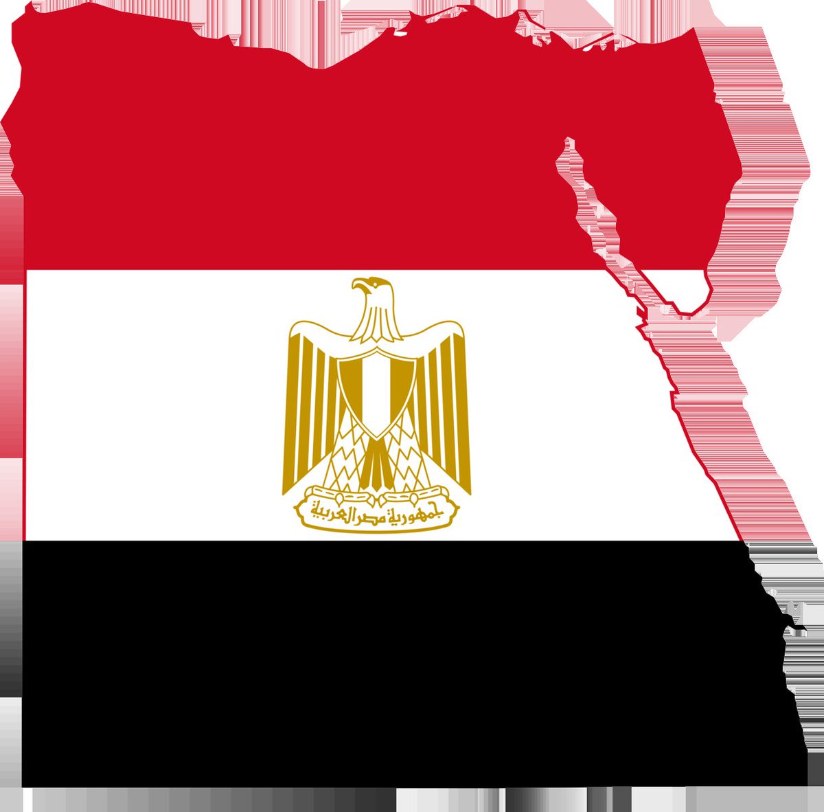5mustafaismail's tweet photo. @AlsisiOfficial ياريس الرجاء النظر الي القائمة الانتخابية الواحده التي يعتبر انها تاتي للمجلس بالتزكية و يعتبر حجز مقاعد قبل العملية الانتخابية و هذا لا يتوافق مع إرادة شعب و لا الاخذ بعين الاعتبار الديمقراطية https://t.co/6jngBtvz1R