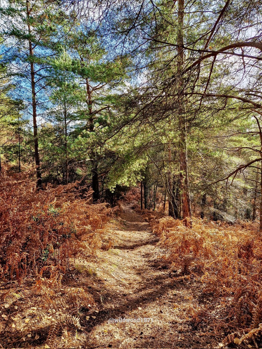 The very beautiful South Downs National Park <a href="/PONewsHub/">PO Hub</a> <a href="/ExpSussex/">ExperienceSussex</a> <a href="/ThePhotoHour/">#ThePhotoHour</a> <a href="/BBCSouthWeather/">BBCSouthWeather</a> <a href="/AlexisGreenTV/">Alexis Green</a> <a href="/itvmeridian/">ITV News Meridian</a> <a href="/HollyJGreen/">Holly Green - Weather Presenter</a> <a href="/PhilippaDrewITV/">Philippa Drew</a> <a href="/southdownsvg/">South Downs Park</a> <a href="/SouthDownsFans/">Love the South Downs</a> <a href="/southdownsbikes/">South Downs Bikes</a> <a href="/Ebike_Tours_Chi/">Ebike_Tours_Chichester</a>