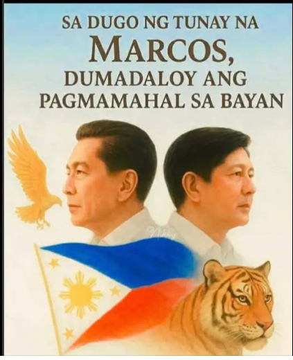 lizramo88275071's tweet photo. MARCOS PA RIN.. https://t.co/9DVHW7MpVT